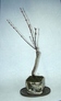szk070225 007.01.jpg