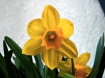 szk070227 004.01.jpg
