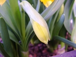 szk070227 007.01.jpg