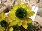 szk070227 019.01.jpg