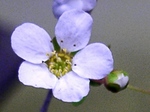 szk070306 003.01.jpg