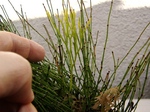 szk070311 002.01.jpg