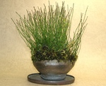 szk070312 004.01.jpg