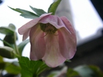 szk070312 009.01.jpg