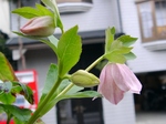 szk070312 015.01.jpg