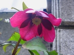 szk070313 004.01.jpg