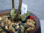 szk070314 003.01.jpg