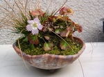 szk070319 014.01.jpg