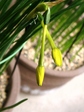 szk070319 017.01.jpg