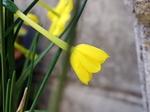 szk070321 006.01.jpg