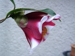 szk070322 003.01.jpg
