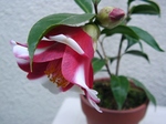 szk070322 007.01.jpg