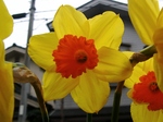 szk070324 006.01.jpg