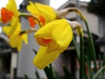 szk070324 008.01.jpg