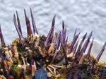 szk070328 021.01.jpg