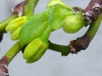 szk070328 025.01.jpg