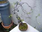 szk070328 029.01.jpg