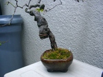 szk070328 030.01.jpg
