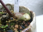 szk070329 009.01.jpg