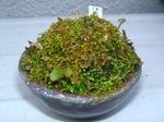 szk070329 012.01.jpg