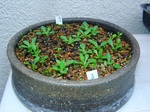 szk070329 019.01.jpg