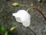 szk070402 008.01.jpg