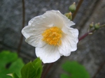 szk070402 010.01.jpg