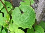 szk070402 011.01.jpg