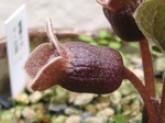 szk070403 012.01.jpg