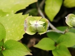 szk070404 002.01.jpg