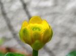 szk070404 016.01.jpg
