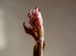 szk070405 004.01.jpg