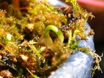 szk070405 014.01.jpg