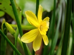 szk070408 002.01.jpg