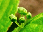 szk070408 021.01.jpg