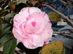 szk070408 028.01.jpg