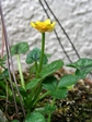 szk070408 031.01.jpg