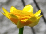 szk070408 032.01.jpg