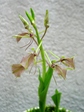 szk070409 007.01.jpg