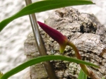 szk070409 017.01.jpg
