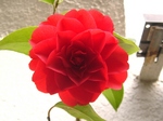 szk070410 003.01.jpg