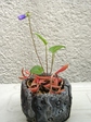 szk070410 009.01.jpg