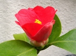 szk070411 009.01.jpg