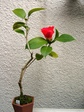szk070411 011.01.jpg