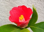 szk070411 012.01.jpg