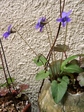 szk070412 004.01.jpg