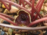 szk070412 010.01.jpg