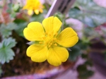 szk070415 001.01.jpg