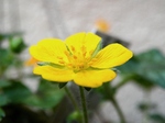 szk070415 002.01.jpg