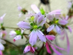 szk070415 010.01.jpg